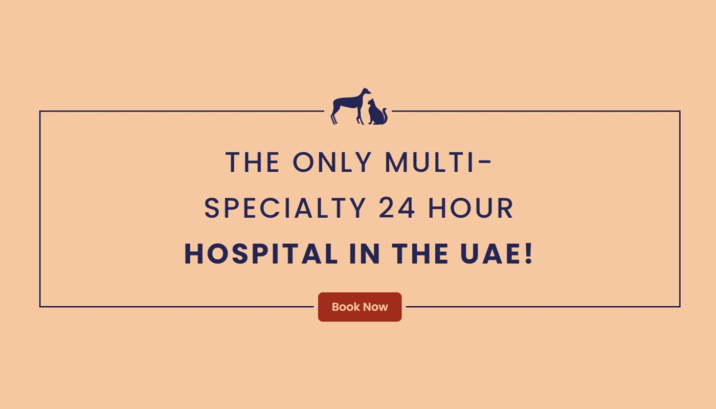 The only multi-speciality 24 hour hospital in the UAE! Book Now