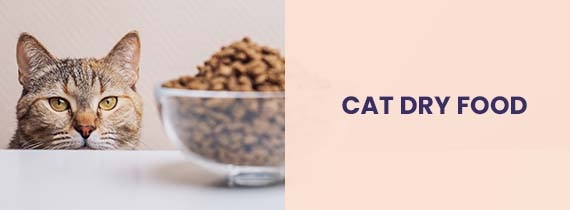 Cat Dry Food